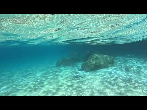 Milia Beach to Kastani beach underwater - Skopelos, Greece