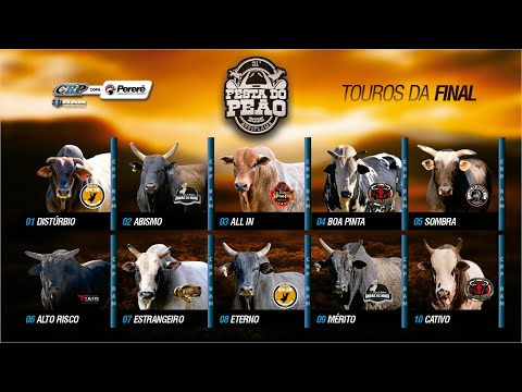 Rodeio de AURIFLAMA 2025 (S0RTEI0 / SÁBADO / SEMI FINAL)