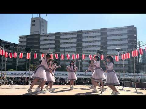 なぜ桜の木は実を結ばないのでしょうか？豊作のために解決すべき5つの潜在的な問題  庭園