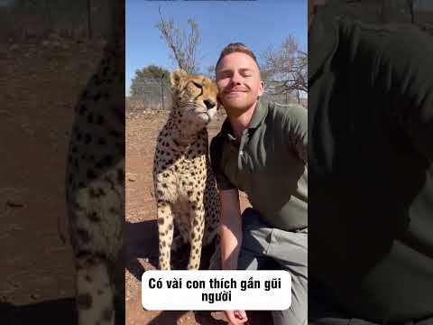 👉🐒 Nhìn dễ thương nhưng chưa chắc sờ được 😱Sai 1 lần là “toang” ngay!