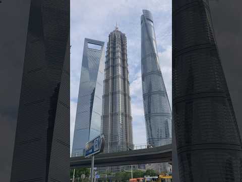 Three super skyscrapers in Shanghai #skyscraper #worldfinancialcenter #jinmaotower #shanghaitower