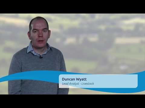 A summary of 2019 for beef and lamb and quick look ahead