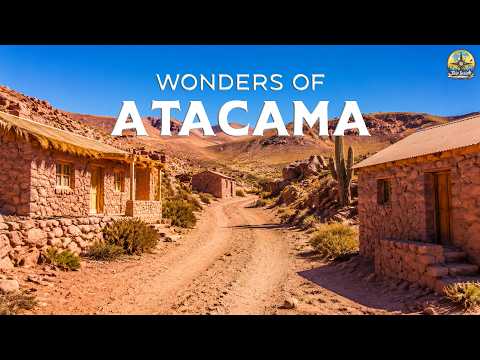 Atacama: Life in the World’s Driest Desert | Travel Documentary 4K