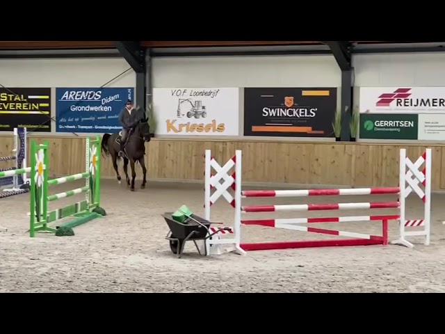 Practice jumping round Kensington ZG.