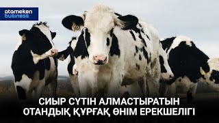 СИЫР СҮТІН АЛМАСТЫРАТЫН ОТАНДЫҚ ҚҰРҒАҚ ӨНІМ ЕРЕКШЕЛІГІ