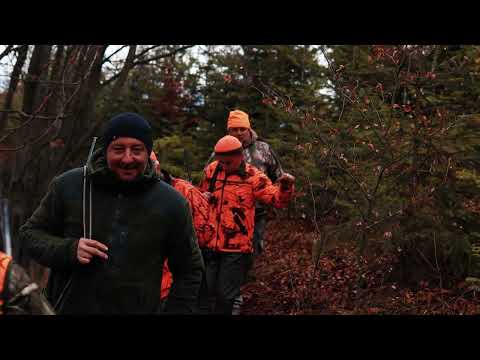 Bebe Dragomir - Pacima-n codru mă mână