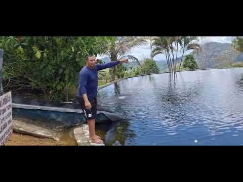 Serra da palha barro preto bahia.  Faz do amigo Edilson 