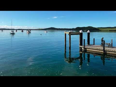 565B Kimberley Rd video