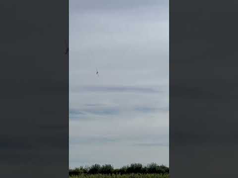 AJ Laser takeoff to knife edge