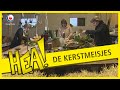 HEA! De kerstmeisjes
