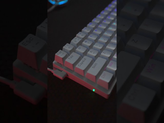 Vídeo relacionado con Docooler Combo teclado-mouse juegos media mano, teclado RGB 25 teclas, convertidor mouse, botón personalización, compatible Android, reproductor