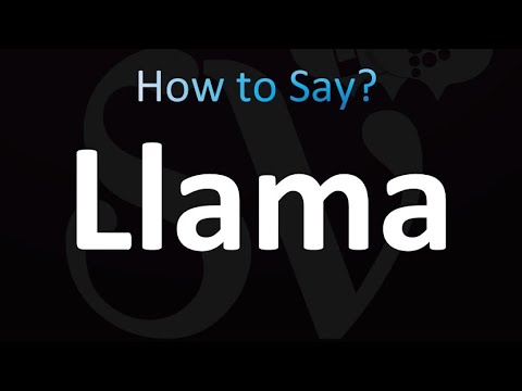 How to Pronounce Llama (Correctly!)