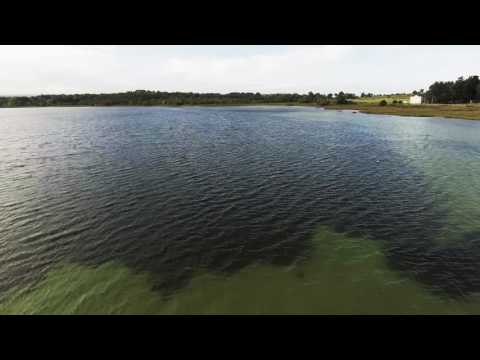 download lagu mp3 mp4 Loughrea Lake, download lagu Loughrea Lake gratis, unduh video klip Loughrea Lake