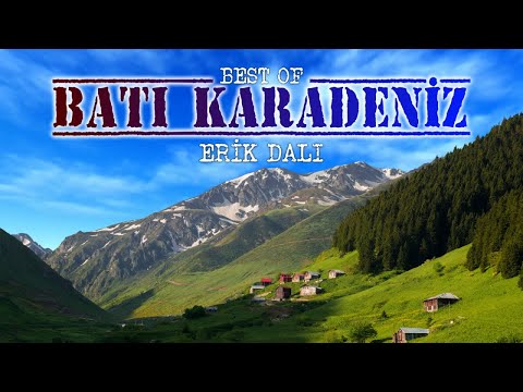Best of Batı Karadeniz - Erik Dalı