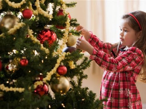Preek: De andere boom van de hof
