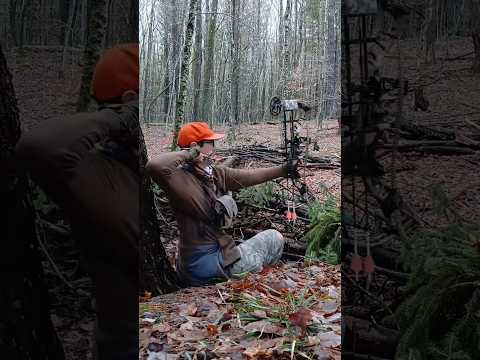 Bowhunting from the ground for begginers [ Natural Ground Blind ]