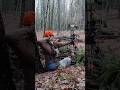 Bowhunting From The Ground For Begginers Natural Ground Blind