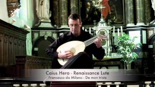 Caius Hera - Renaissance lute