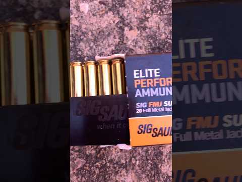 Sig Sauer P-220 45ACP Ammunition Fit Issue, Hornady XTP Hollow-Point