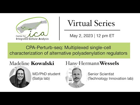 CICA Virtual Seminar Series- Kowalski & Wessels- 5/2/2023
