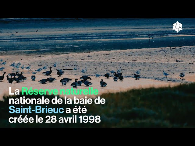 Les actions de la Réserve naturelle