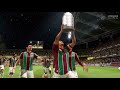 Fluminense Celebrations - Copa Libertadores Final