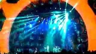 Perfect - Biała mysz (Life)