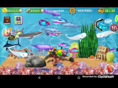 Poisson fish live level 106