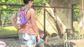 preview picture of video 'Parque Zoológico de Santa Clara, excelente opción para el verano 2014'