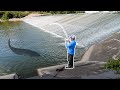 The BIGGEST One I Ve EVER Caught In A Spillway SURPRISE Catch