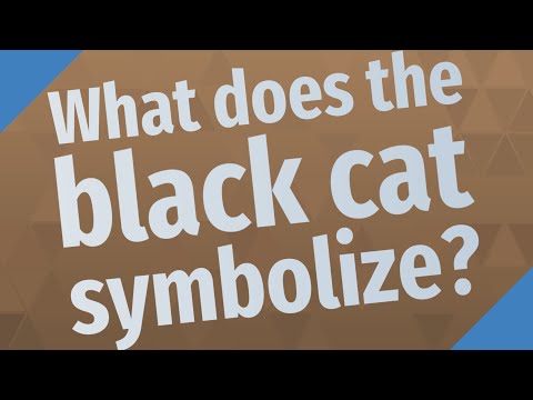 What does the black cat symbolize?