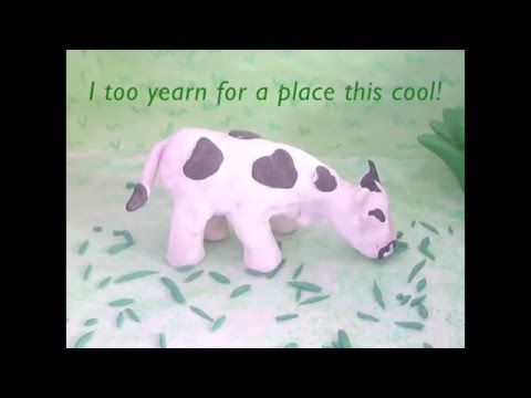 Animal Adoption and Care | Mihika | BhaktiDeepak |AasmaFilms