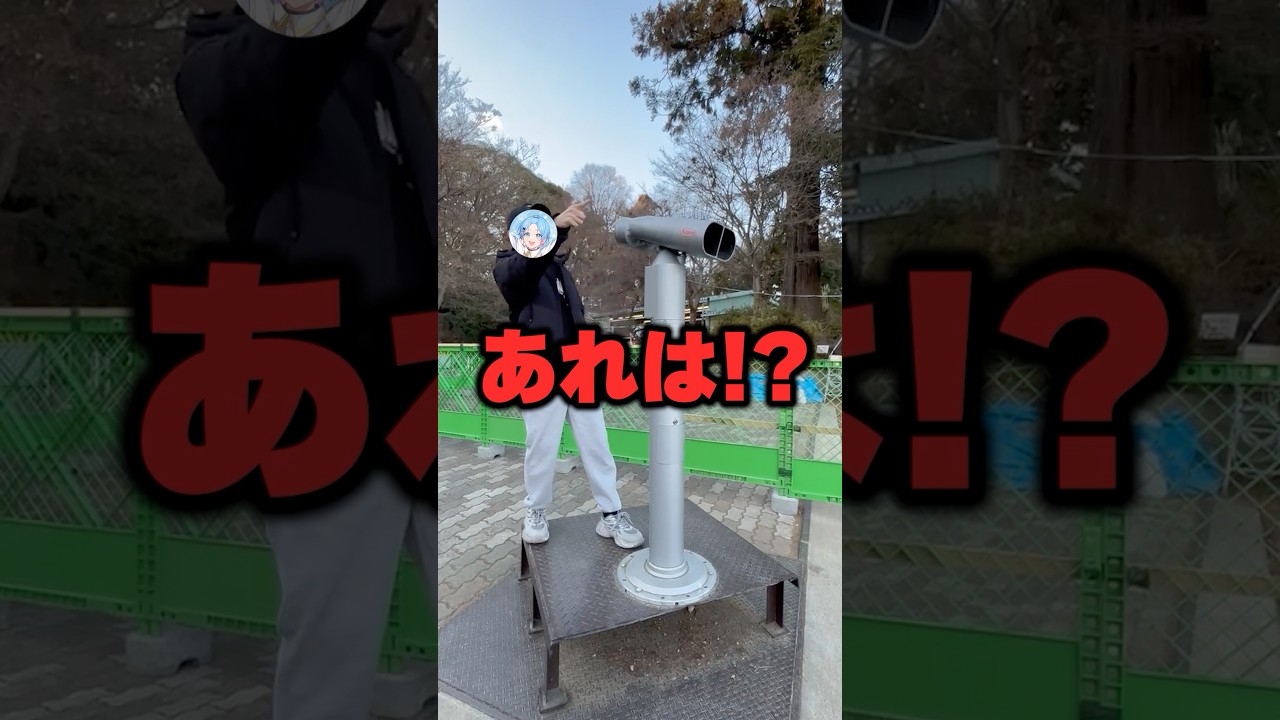 らおゆたが踊ってる所をのぞき見しちゃった🫣#shorts