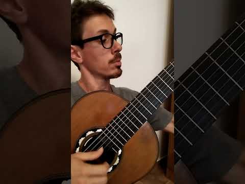 La canción de Orfeo en Guitarra solista. #comparsaorfeo #orfeo #carnaval #montecaseros #corrientes