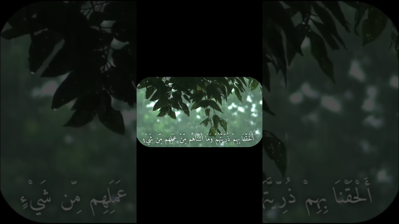 صدقة جارية لروح خالتي... | سورة الطور: 21 | القارئ: #حسين_العزام