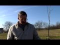 Video preview for Pruning Fruit Trees: Why We Pre-Prune