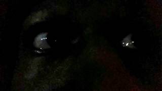 Visions for the future - Targeted Individual victim innocent Citizens in U.S MN