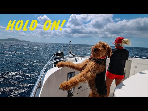 HOLD ON! TRAWLER CRUISING THE CARIBBEAN! Navigating tropical islands. #187