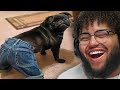 MEMES THAT WILL GET STUCK IN YOUR HEAD