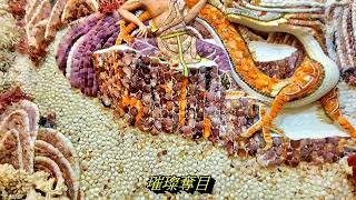 2024 3 25新北石門珊瑚貝殼廟