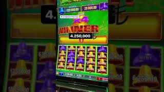 Kıbrıs’ın en büyük jackpotu CHAMADA PRESTİGE CASİNODA🍀🎰 #kıbrıs #casin