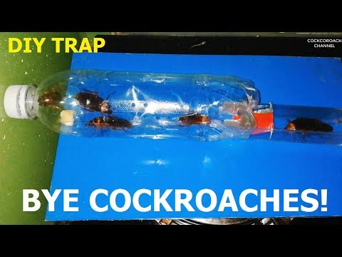 COCKROACH TRAP - THE MOST EFECTIVE TRAP IN THE WORLD