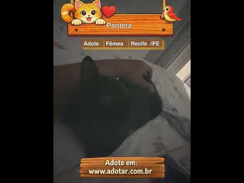 Vídeo de Pantera