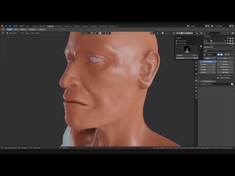 [EEVEE] Real-Time Sculpted Skin w/ 27 Million Active Verts!