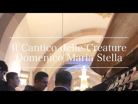 Il Cantico delle Creature - Domenico Maria Stella