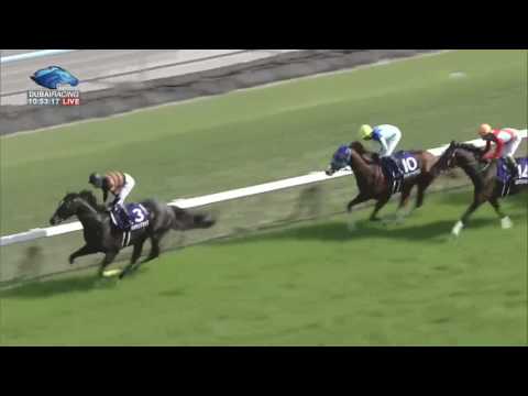 2017.04.30 Tenno Sho (Spring) (JPN) - Kitasan Black