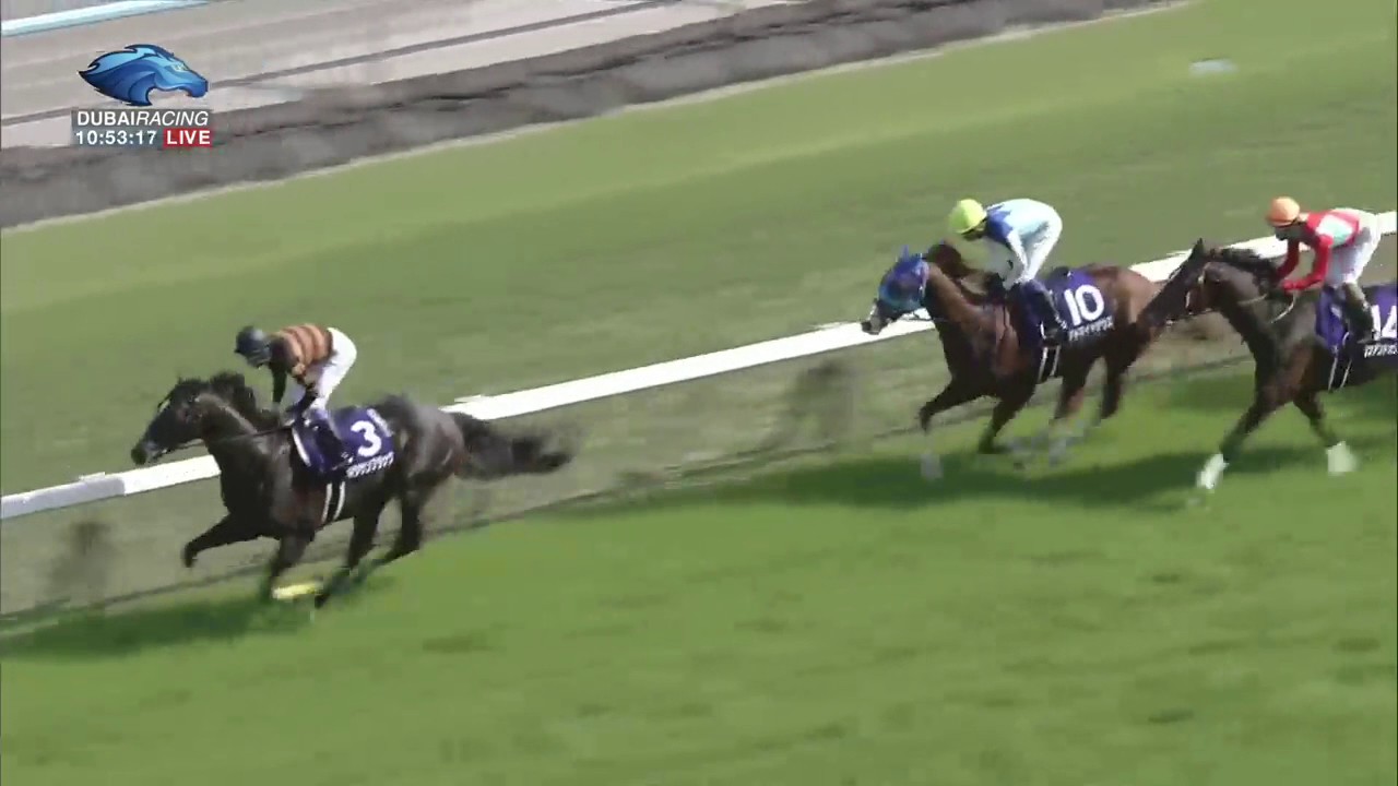 日本賽馬 京都直擊春季天皇賞不只是競技而是嘉年華 有片 香港01 即時體育 日本賽馬 京都直擊春季天皇賞不只是競技而是嘉年華 有片 香港01 即時體育
