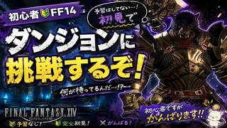 【初心者】ファイナルファンタジー14　　新生クリアしたけど新生ダンジョンでまだできてないダンジョンやっていく　【FF14】© SQUARE ENIX