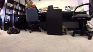 Download lagu A walk on the Moon mp3