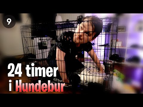 Jeg var 24 Timer i Hundebur. Jeg bestilte Foodora og han ble redd (en video)